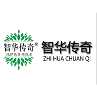 智华传奇企业管理咨询有限公司logo